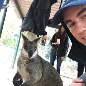 Meet your Posher, Brandt